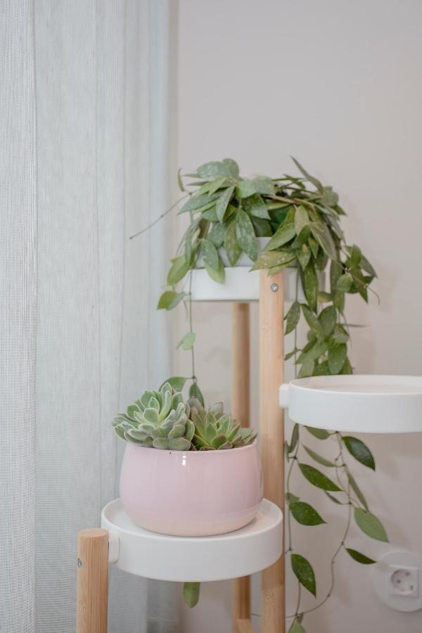Apartamento Primrose *